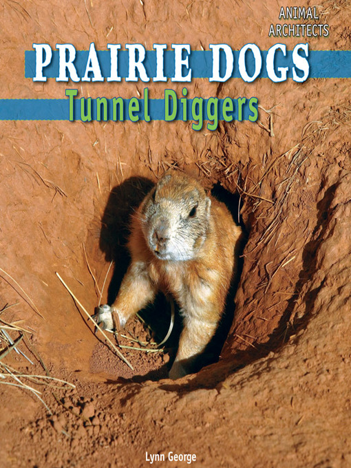 Title details for Prairie Dogs by Lynn George - Available